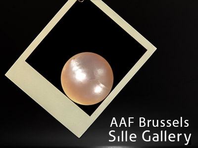 SILLE GALLERY - AAF BRUSSELS